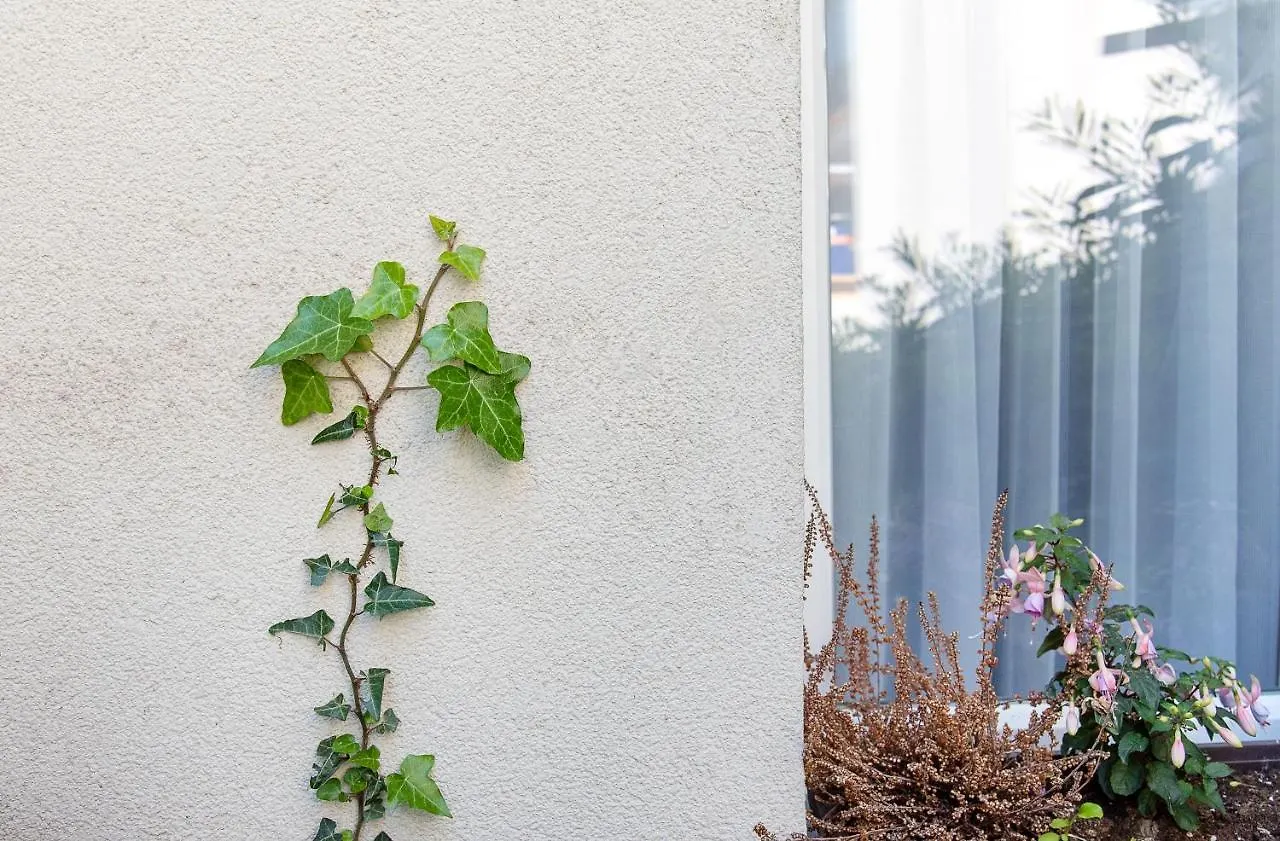 Green Oasis Apartment וינה